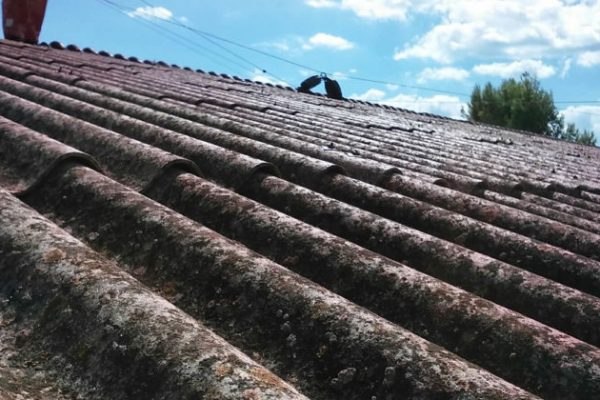 asbestos-768x420